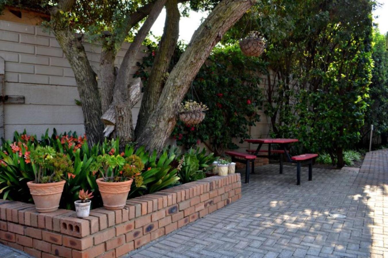 Bokmakierie Gastehuis Emalahleni Pty Ltd Exteriér fotografie