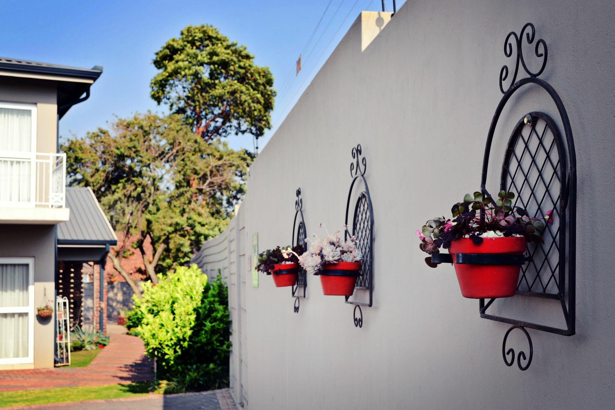 Bokmakierie Gastehuis Emalahleni Pty Ltd Exteriér fotografie